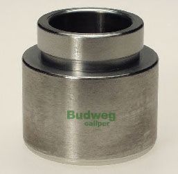 BUDWEG CALIPER 234813