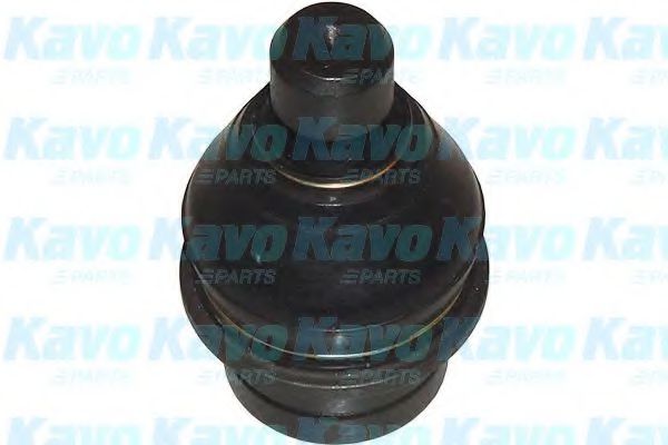 KAVO PARTS SBJ-6504