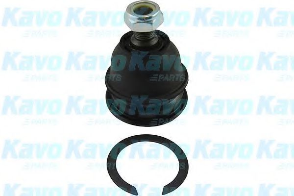 KAVO PARTS SBJ-5521