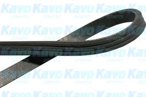 KAVO PARTS DMV-8505