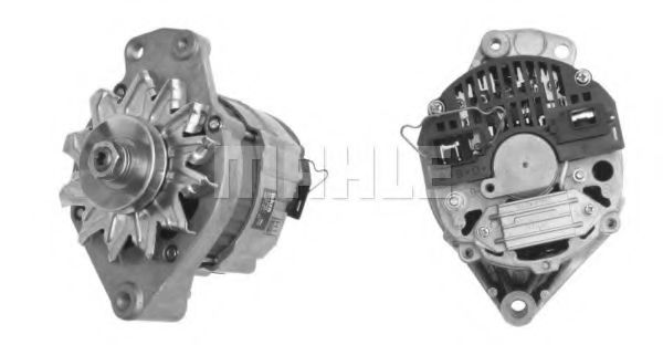 MAHLE ORIGINAL MG 113