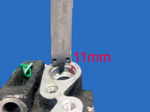 LIZARTE 81.02.02.014