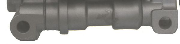 LIZARTE 81.04.17.021