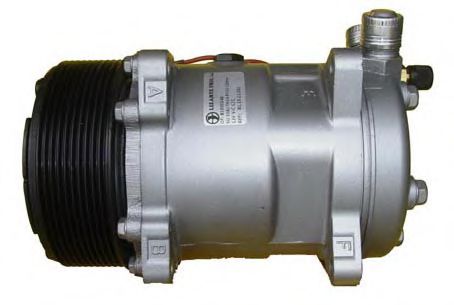 LIZARTE 81.10.11.051