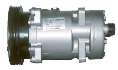 LIZARTE 81.10.16.035