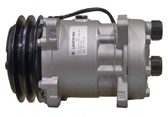 LIZARTE 81.10.26.193