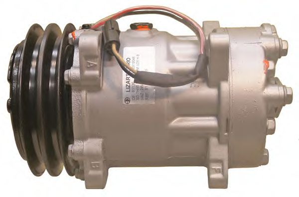 LIZARTE 81.10.26.199