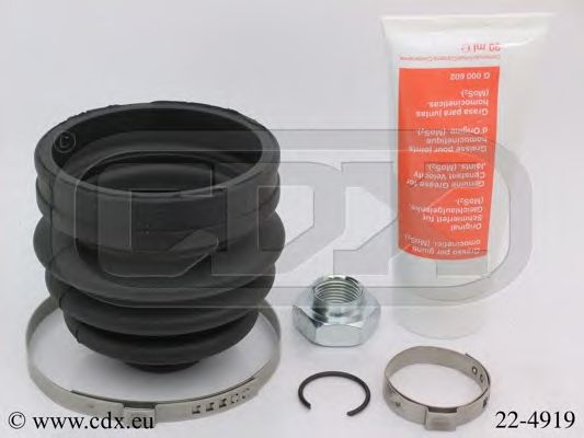 CDX 22-4919