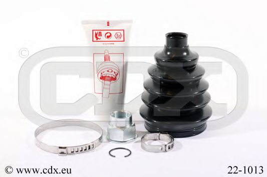 CDX 22-1013
