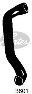 GATES 3601
