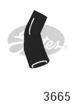 GATES 3665