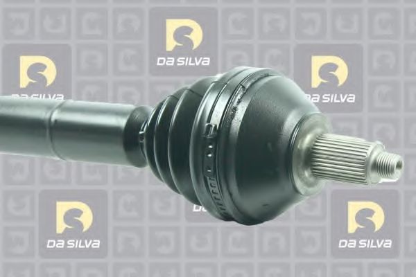 DA SILVA 18070T