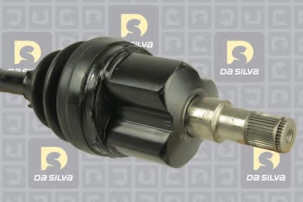 DA SILVA 31217T