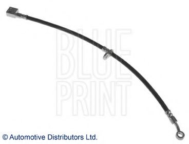 BLUE PRINT ADH253194