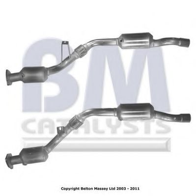 BM CATALYSTS BM91599H