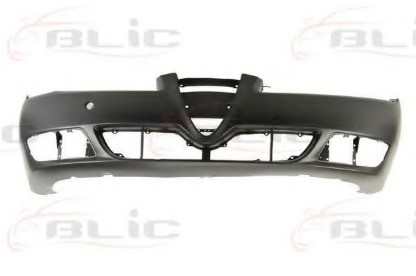 BLIC 5510-00-0107901P