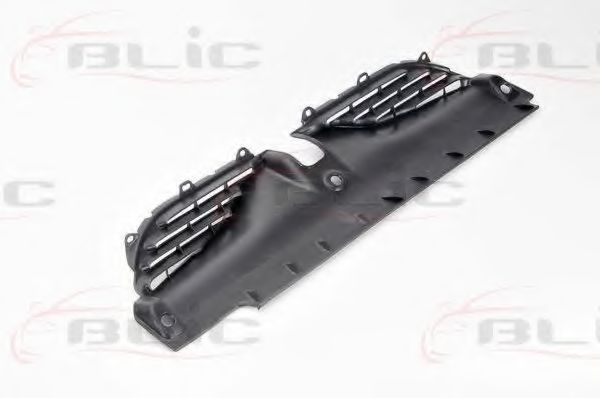 BLIC 6502-07-6049990P
