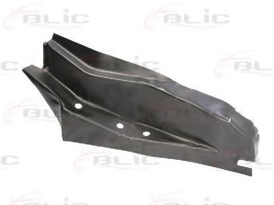 BLIC 6503-06-9520842P