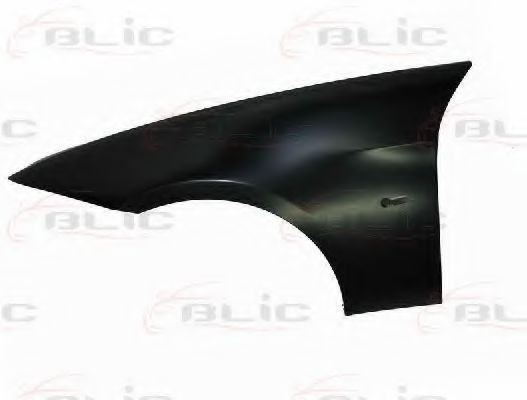 BLIC 6504-04-0062311P