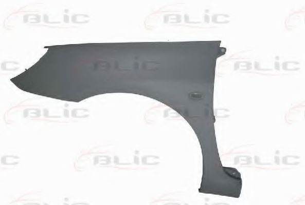 BLIC 6504-04-5514311P