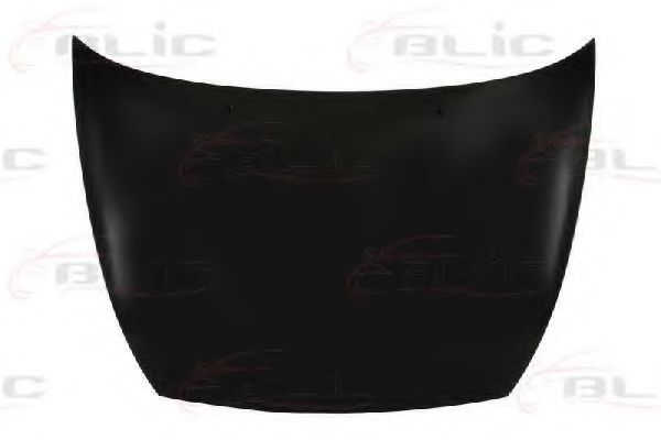 BLIC 6803-00-2505281P