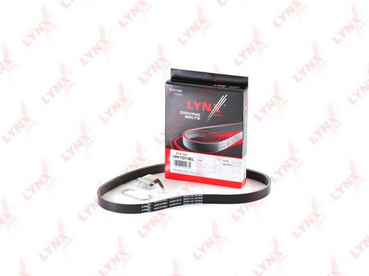 LYNXauto 6PK1019EL