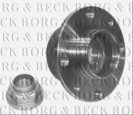 BORG & BECK BWK313