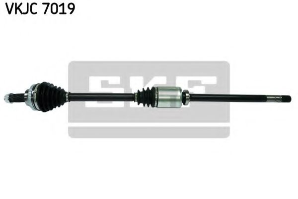 SKF VKJC 7019