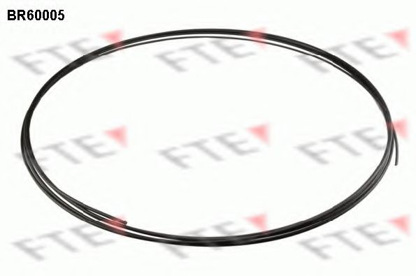 FTE BR60005