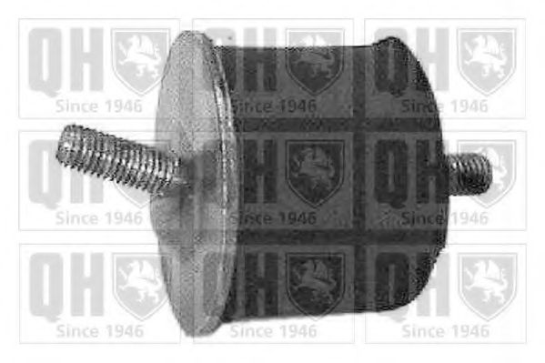 QUINTON HAZELL EM2042