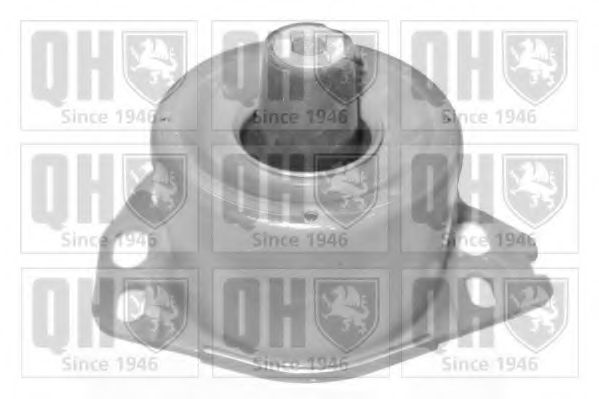 QUINTON HAZELL EM3156