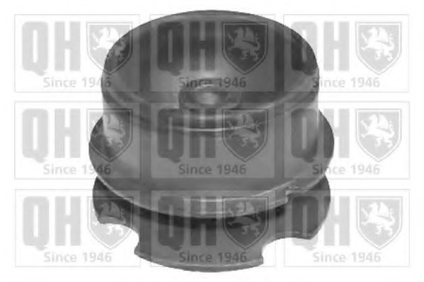 QUINTON HAZELL EM4194