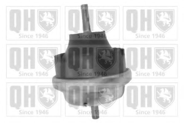 QUINTON HAZELL EM4335