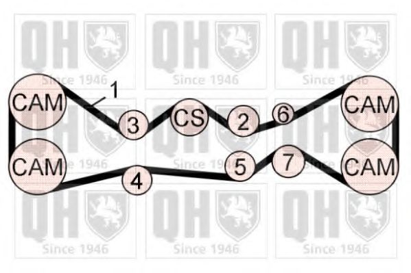 QUINTON HAZELL QBK769