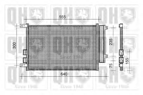 QUINTON HAZELL QCN203