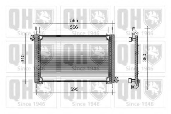 QUINTON HAZELL QCN249