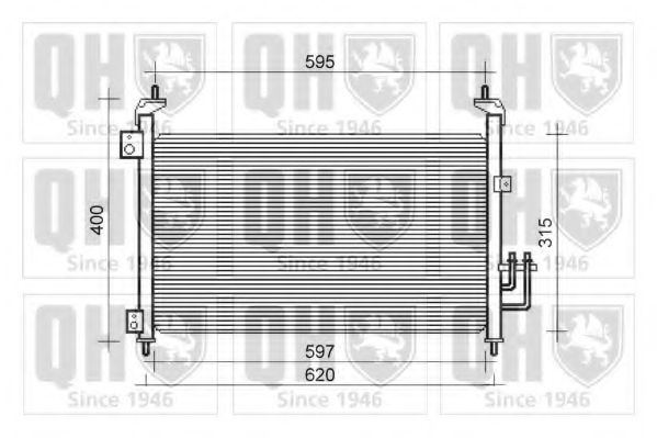 QUINTON HAZELL QCN586