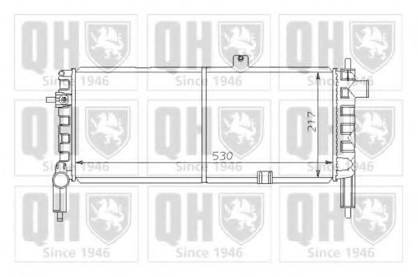QUINTON HAZELL QER1247