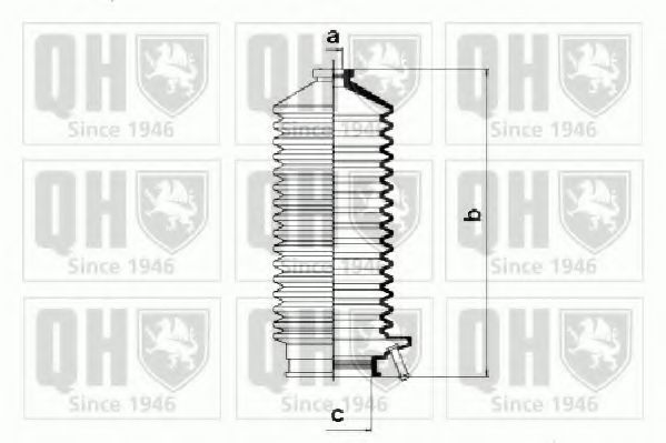 QUINTON HAZELL QG1231