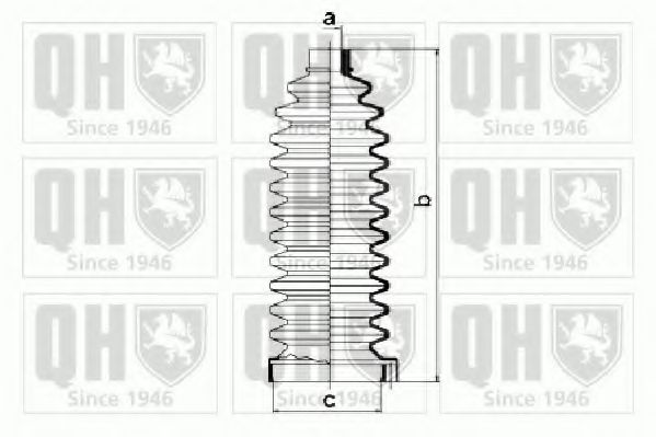 QUINTON HAZELL QG1244