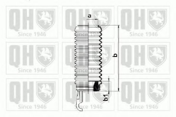 QUINTON HAZELL QG1437