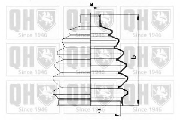 QUINTON HAZELL QJB2715