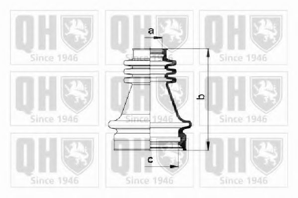 QUINTON HAZELL QJB458
