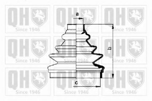 QUINTON HAZELL QJB618