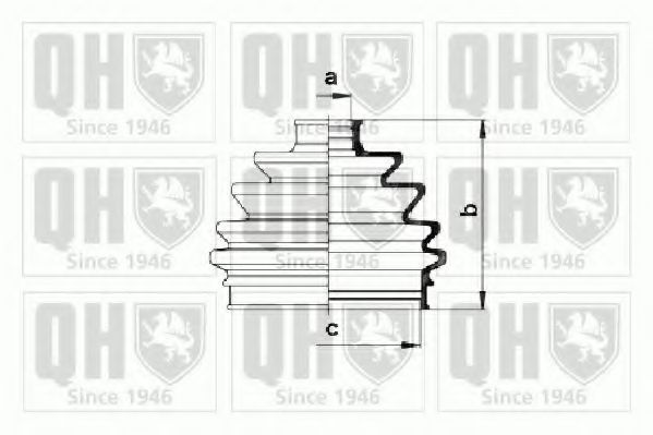 QUINTON HAZELL QJB870