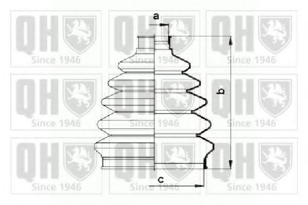QUINTON HAZELL QJB895
