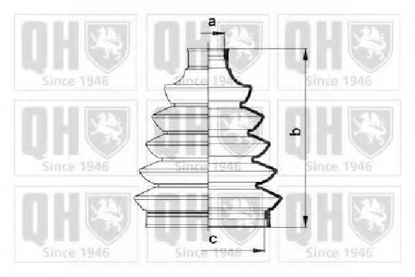 QUINTON HAZELL QJB924