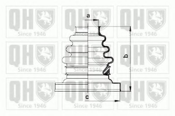 QUINTON HAZELL QJB946