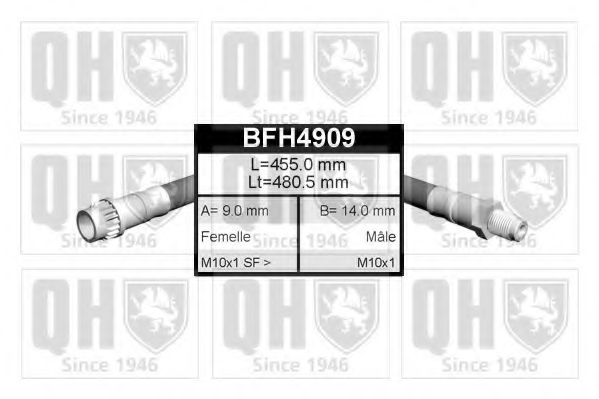QUINTON HAZELL BFH4909