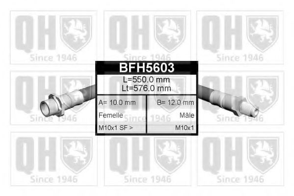 QUINTON HAZELL BFH5603